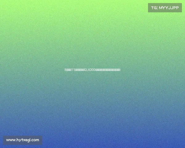 8万拍下11年的进口奔驰GLK300，一看公里数不对，近光灯也不亮了